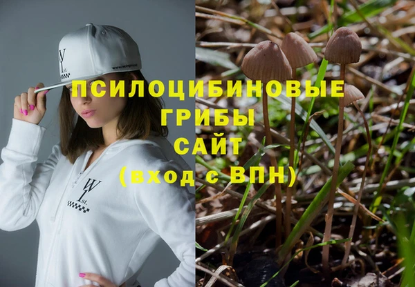 скорость Алзамай