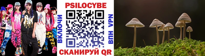 гидра ONION Карасук Галлюциногенные грибы Psilocybine cubensis магазин продажи наркотиков